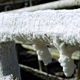 foto_01