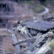 foto_01