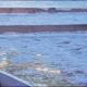 foto_01