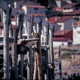 foto_01